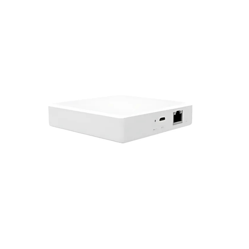 Image of Matter and ZigBee Wired Gateway NAS-ZW06WM
