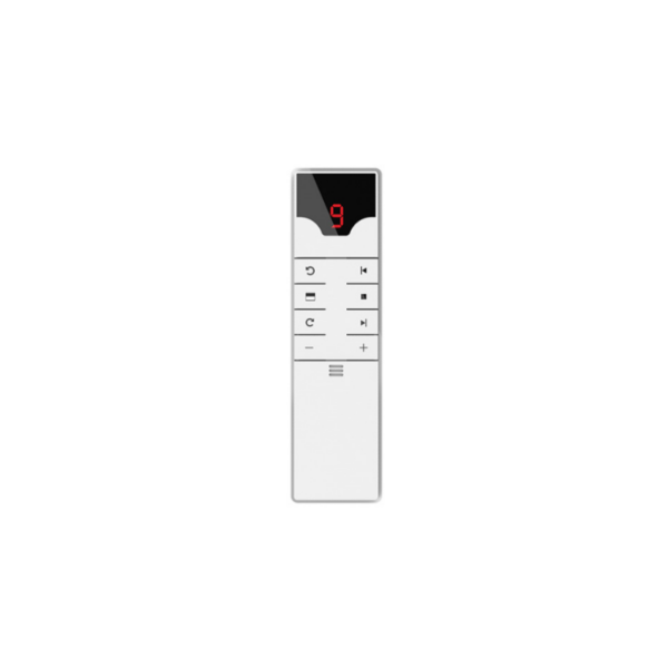 Image of Remote Controller ZC175A-9